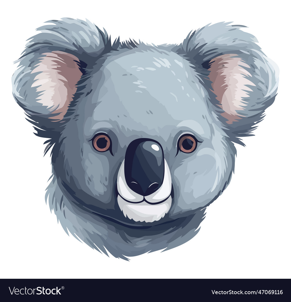 Cute koala design