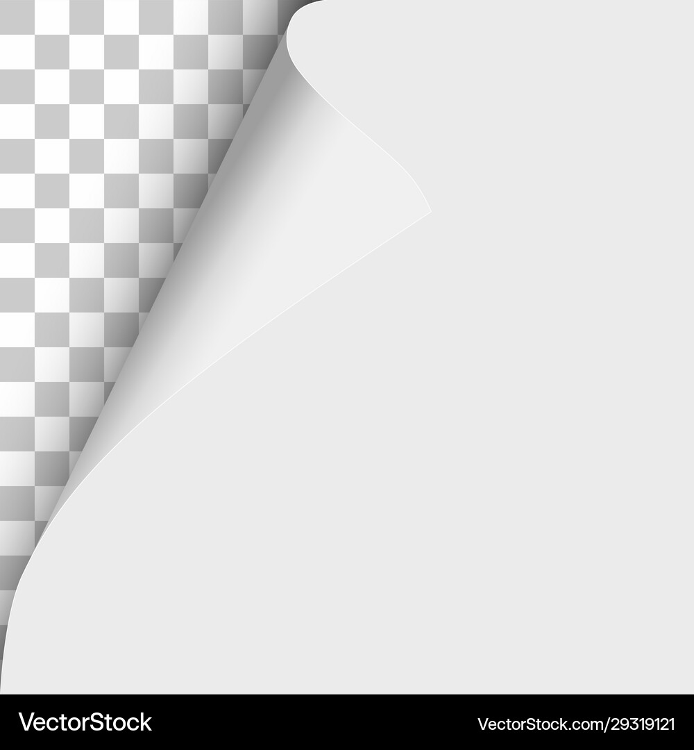 Sheet white paper with curled corner soft Vector Image