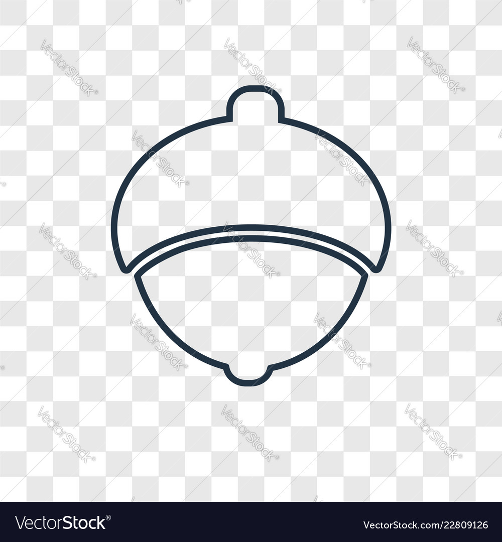 Acorn concept linear icon isolated on transparent