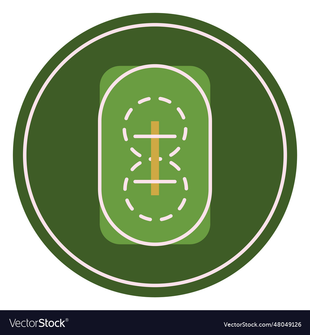 Cricket field design flat Royalty Free Vector Image