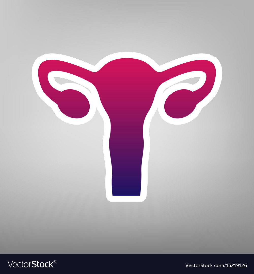 Human anatomy uterus sign purple Royalty Free Vector Image