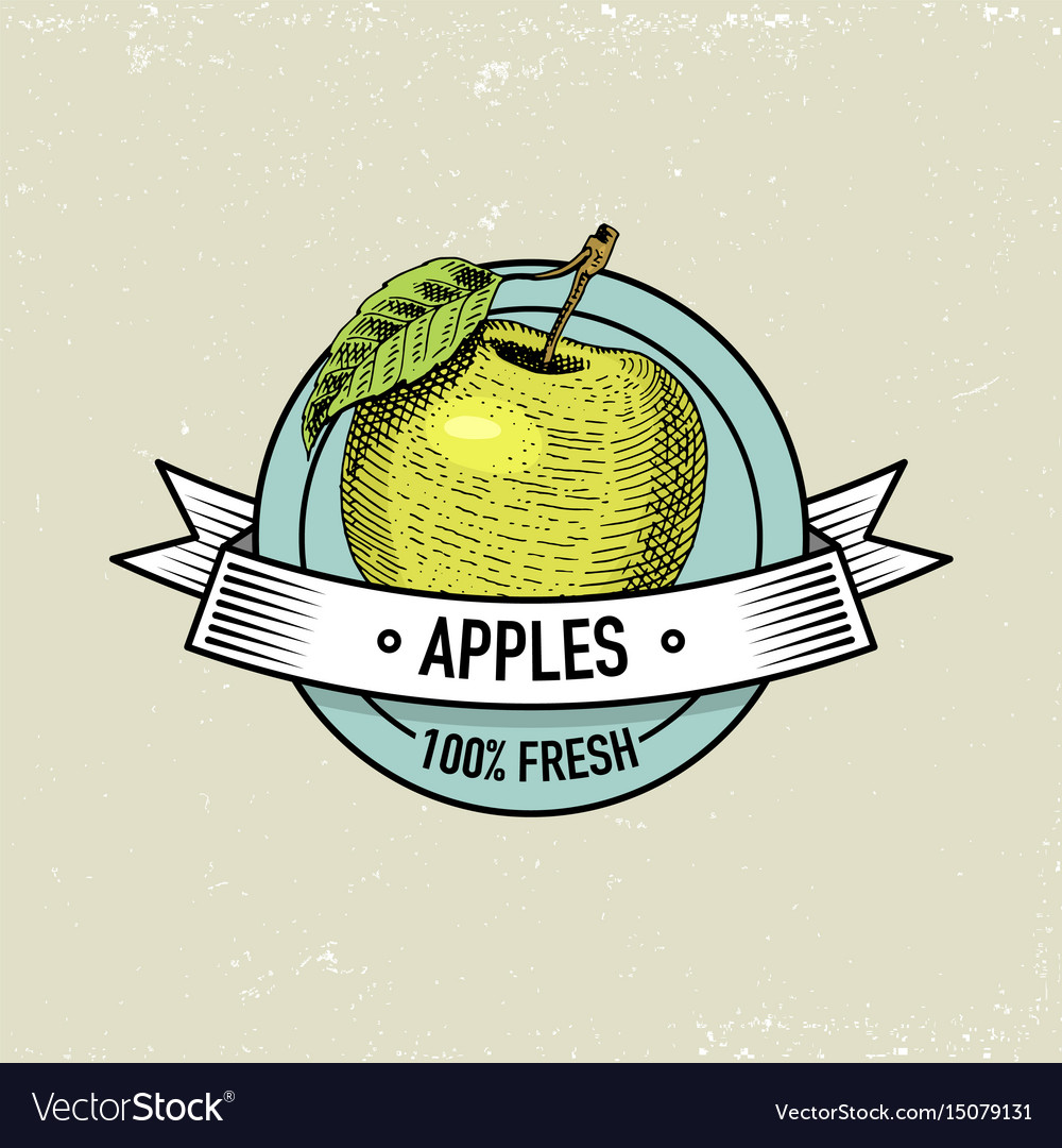 vintage fruit vector