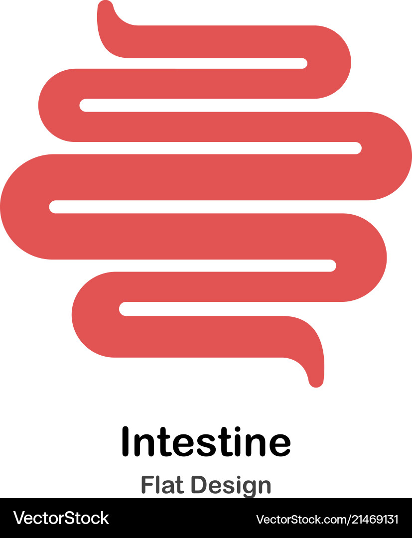 Insetine Vector Intestine flat Royalty Free Vector Image - VectorStock