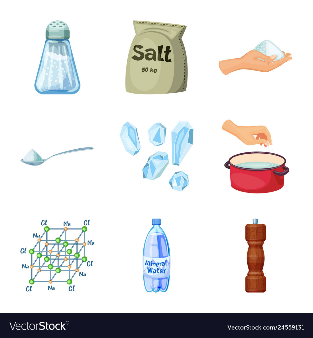 Isolated object of salt and food logo set of salt Vector Image