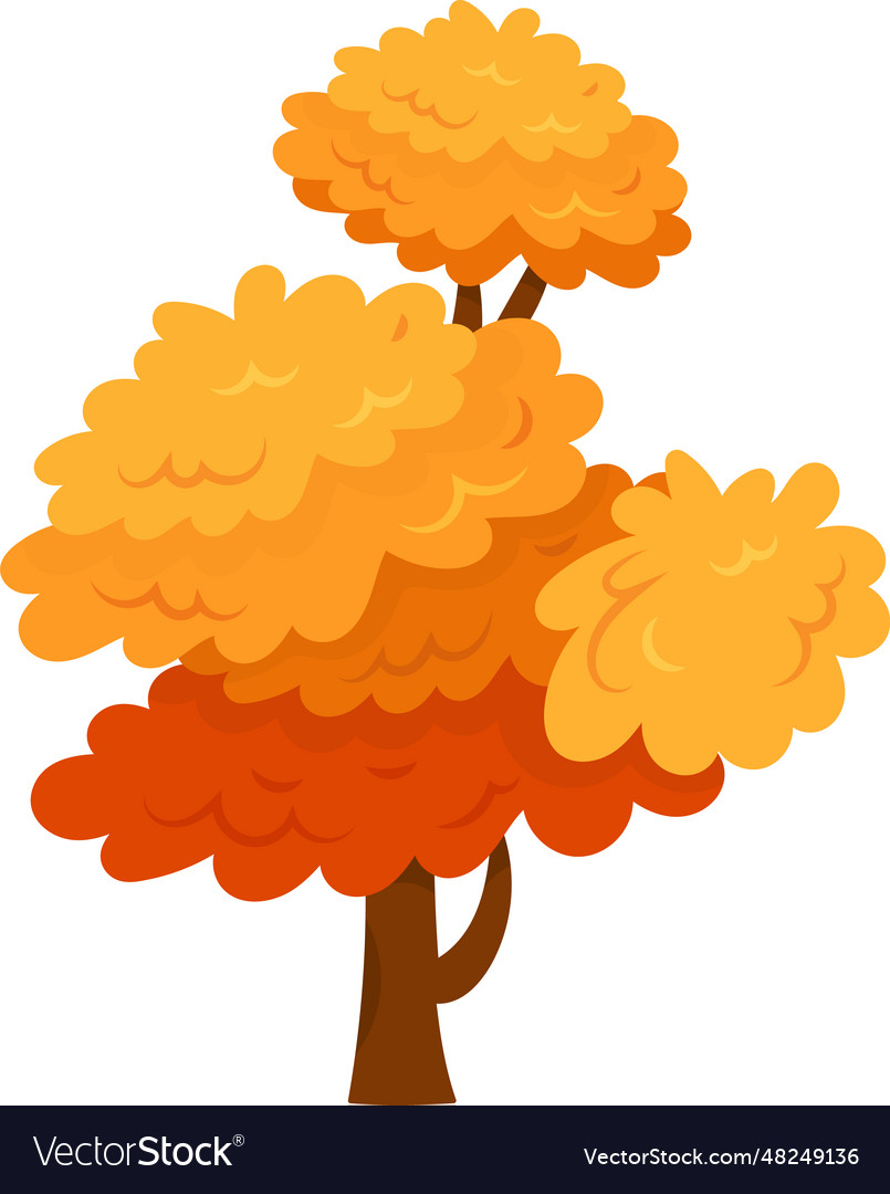 Autumn tree plant Royalty Free Vector Image - VectorStock