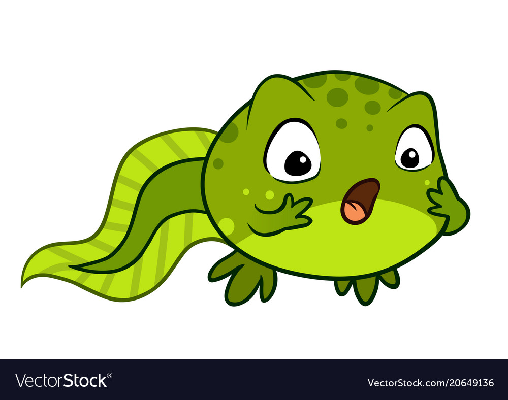 Cute Cartoon Baby Tadpole Looking Surprised Omg Vector Image | My XXX ...