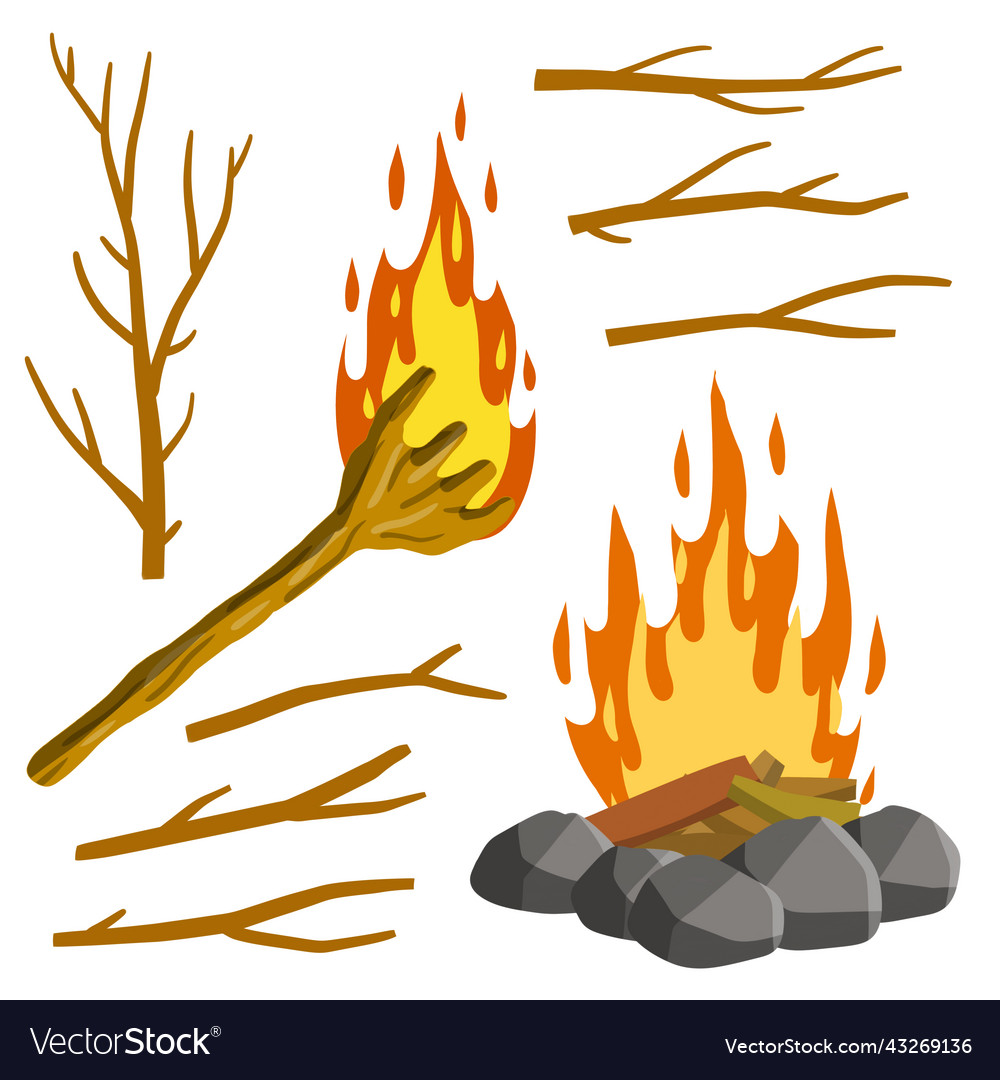 Fire and torch set of tree branches