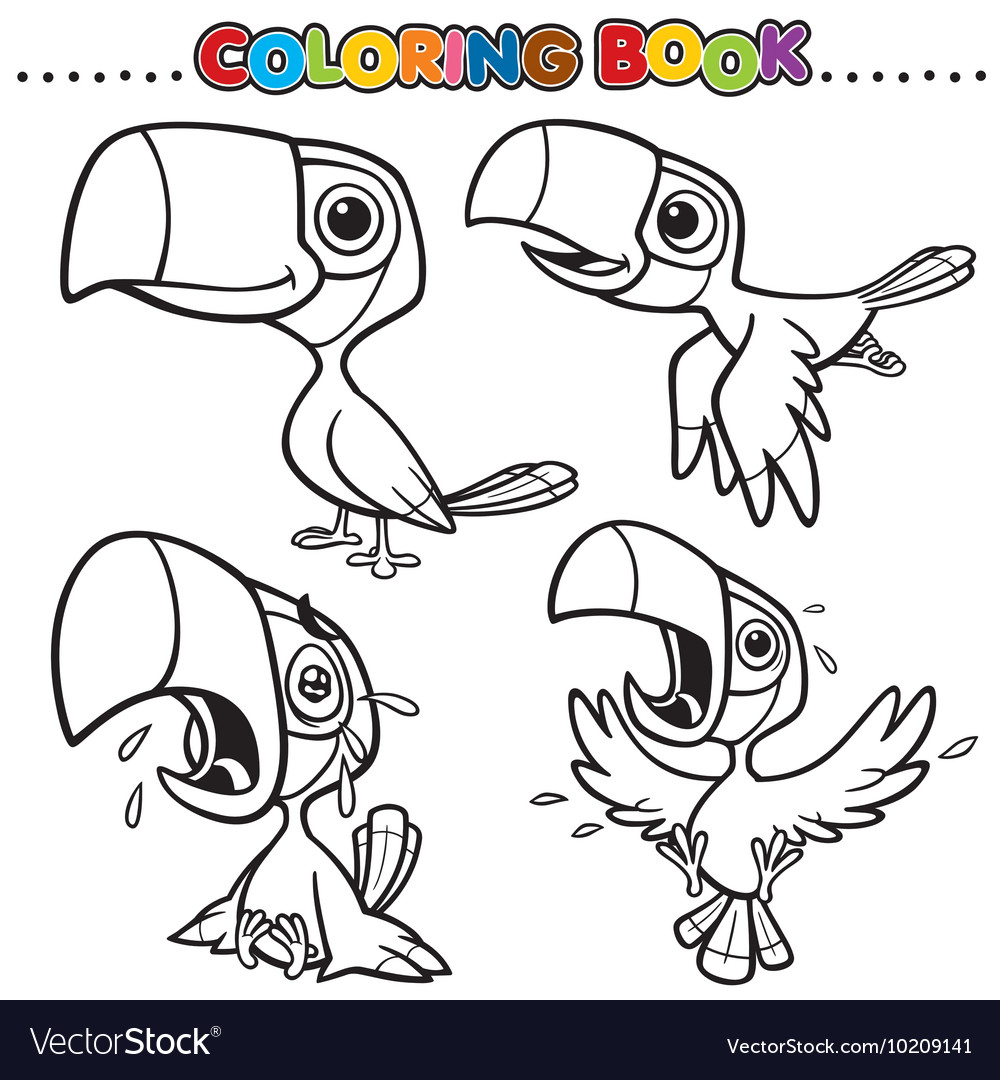 Hornbill