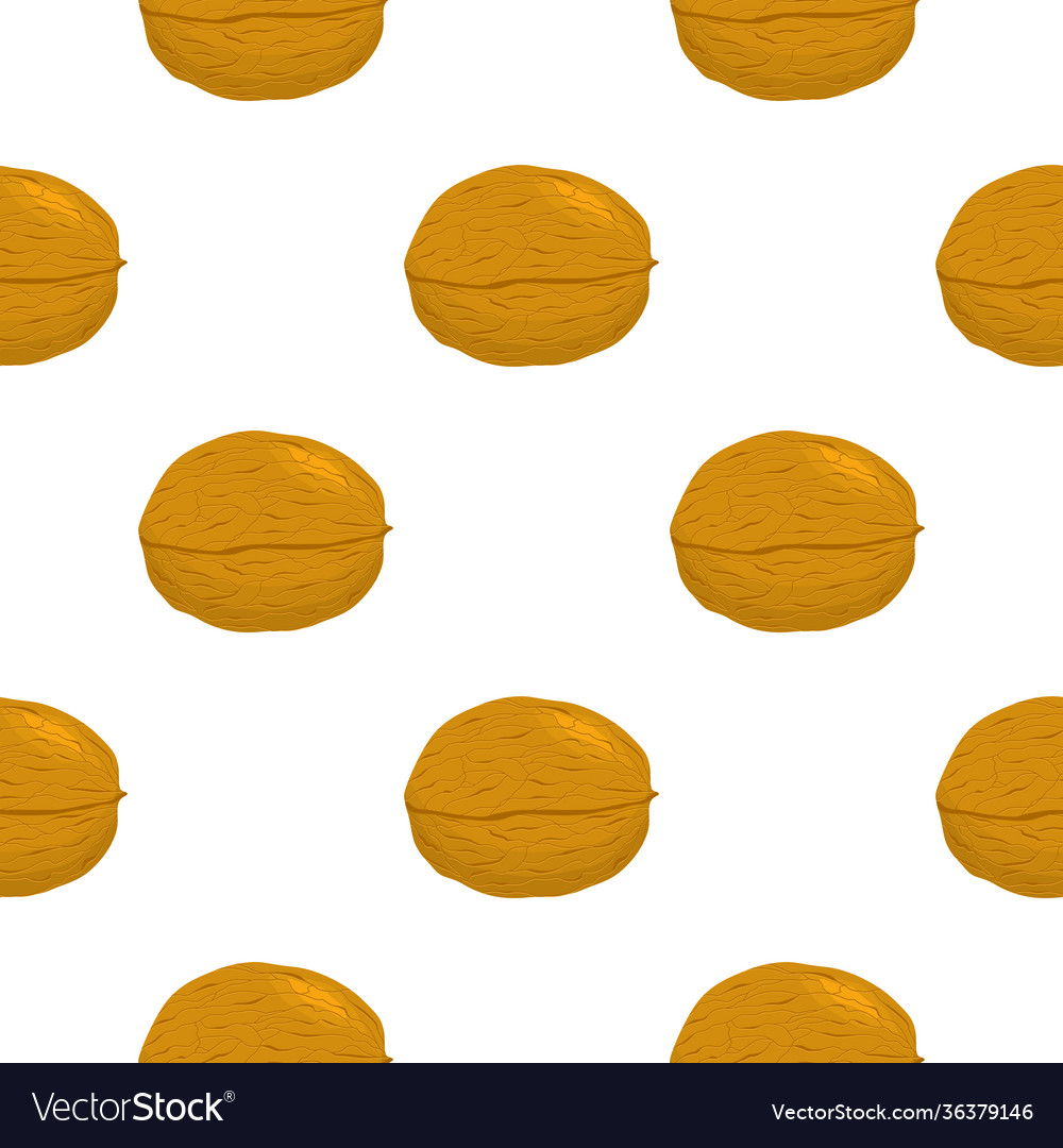 On theme big pattern identical types walnut vector image On theme big pattern identical types walnut