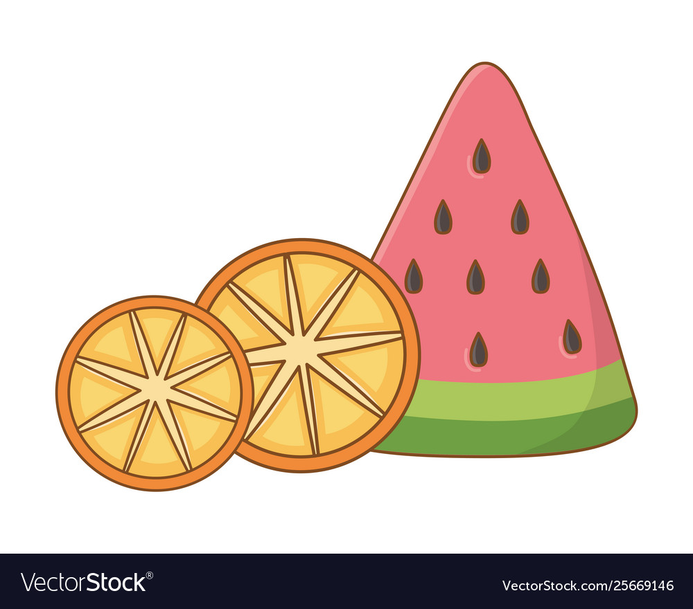 Watermelon and orange slices fruits cartoon vector image Watermelon and orange slices fruits cartoon