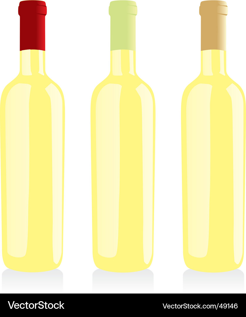 Wine bottles set Royalty Free Vector Image - VectorStock