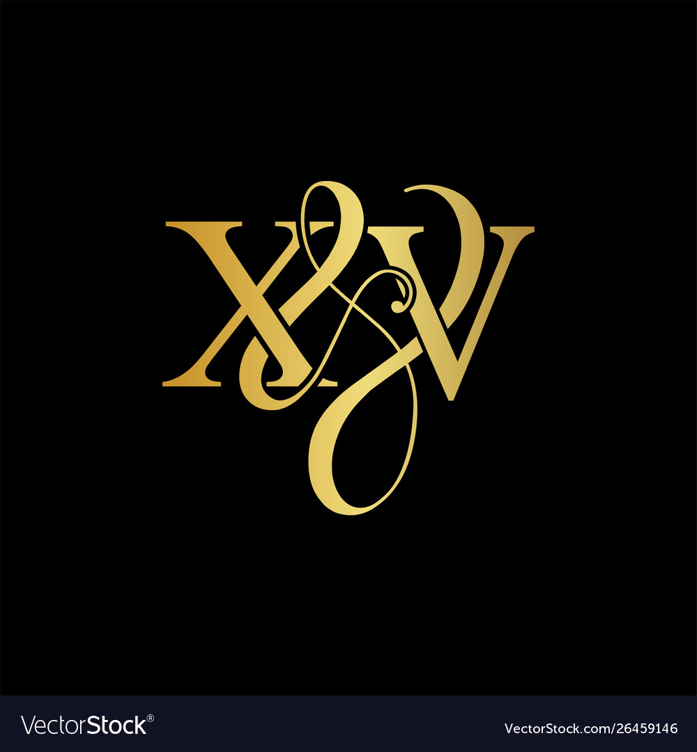 Xv x v logo initial mark Vector Image Xv x v logo initial mark