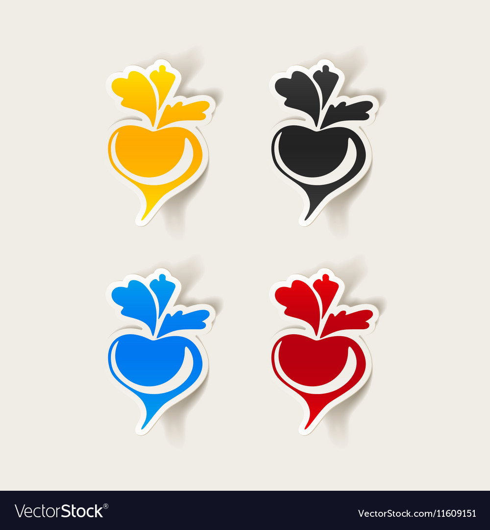 Realistic design element beet