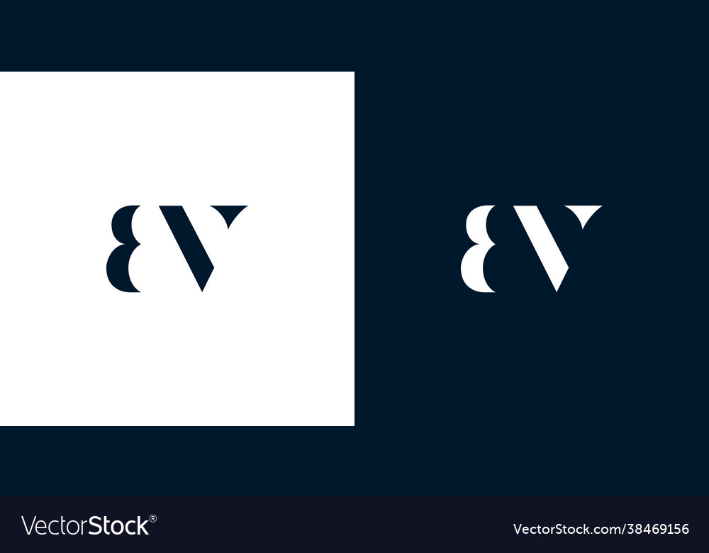 Abstract letter bv logo