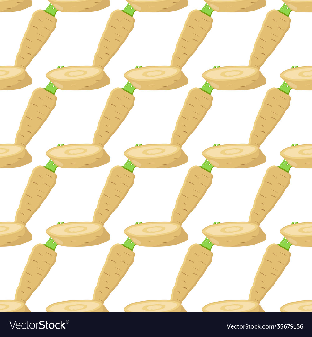 On theme pattern plant parsnip vector image On theme pattern plant parsnip