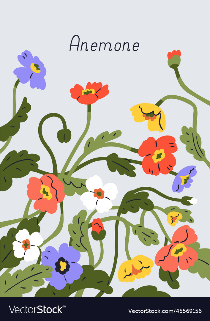 Spring Anemone Floral Postcard