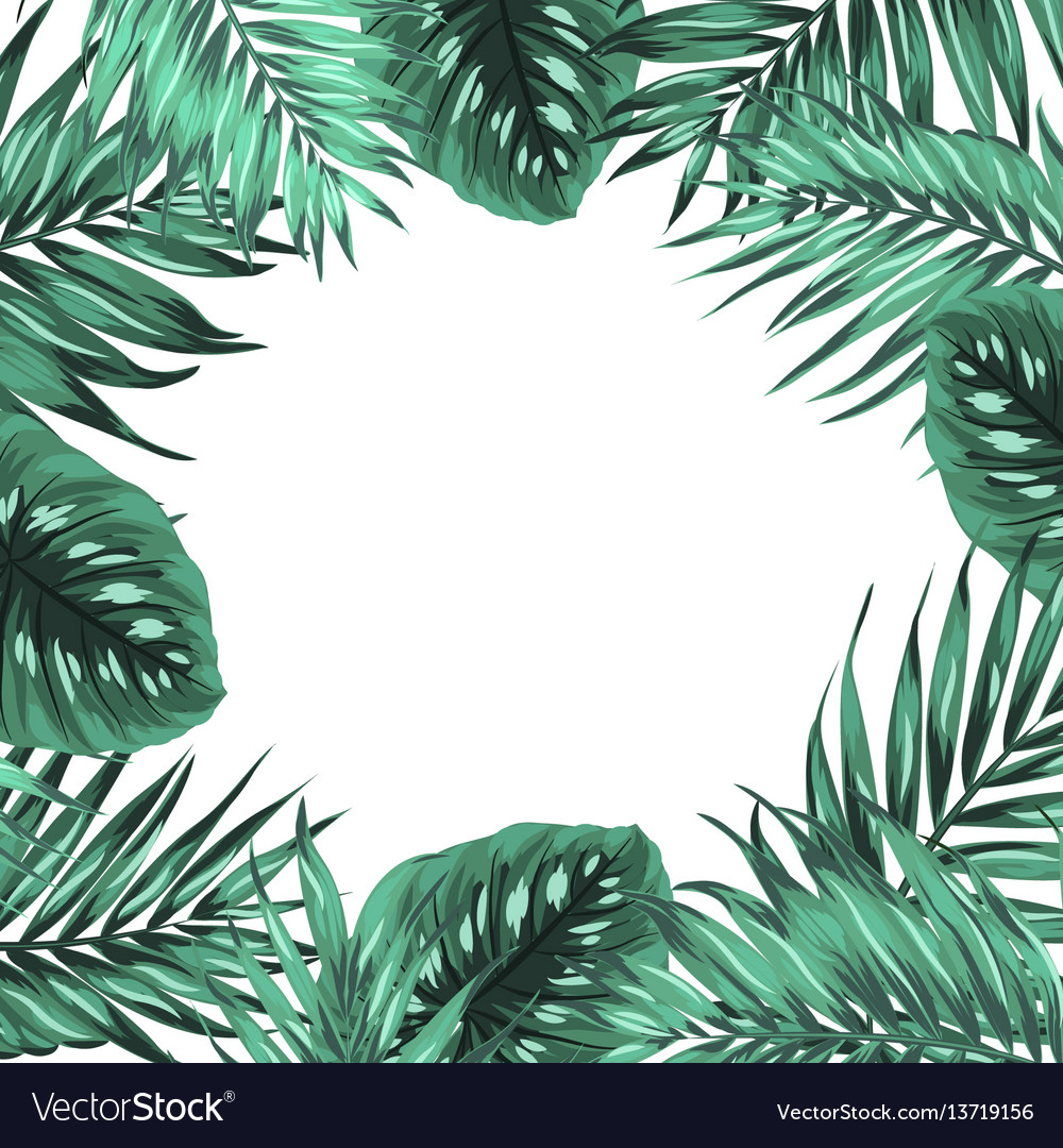 Tropical Palm Leaves Frame