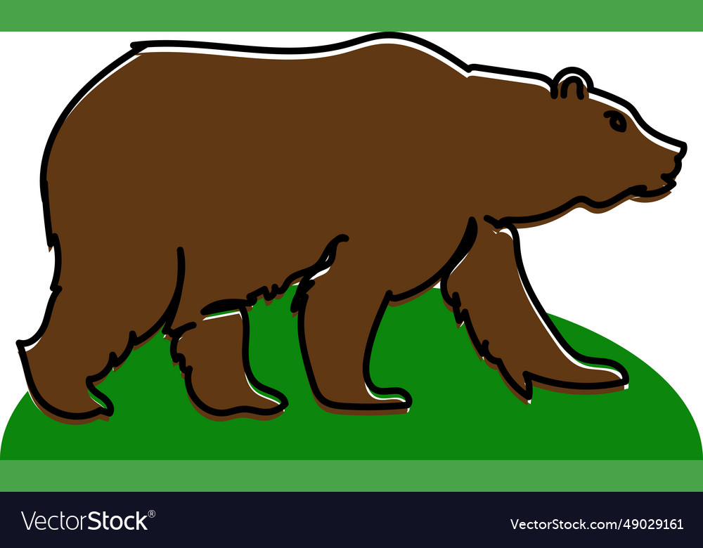 Brown bear on the green grass