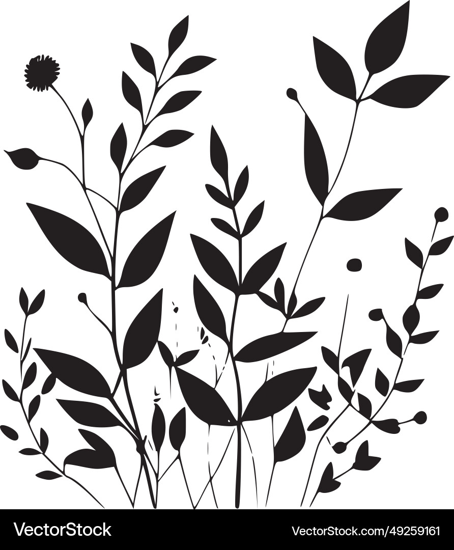 Floral background black and white Royalty Free Vector