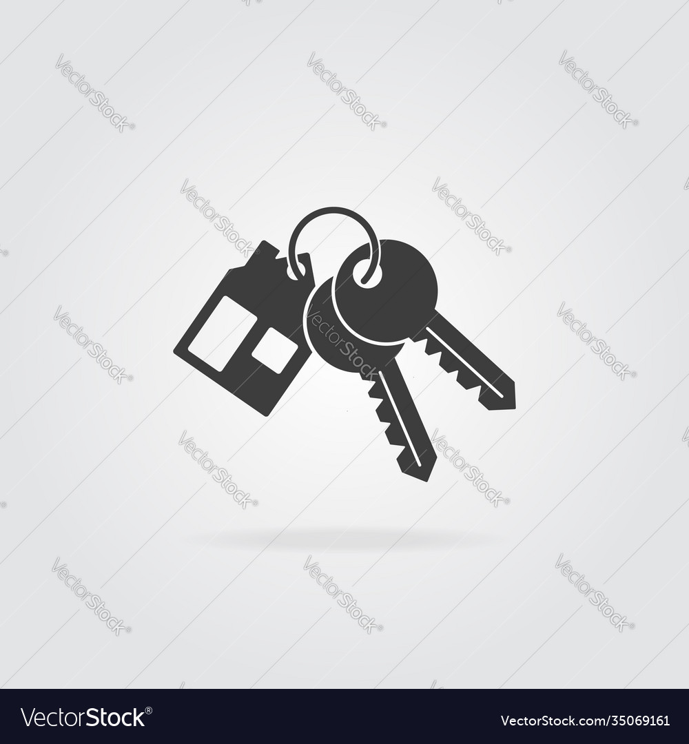 House key chain with two keys