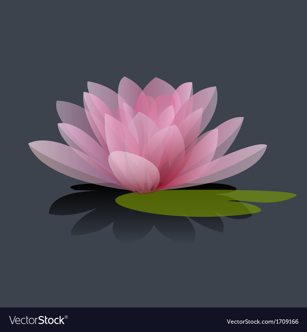 Lotus flower Royalty Free Vector Image - VectorStock