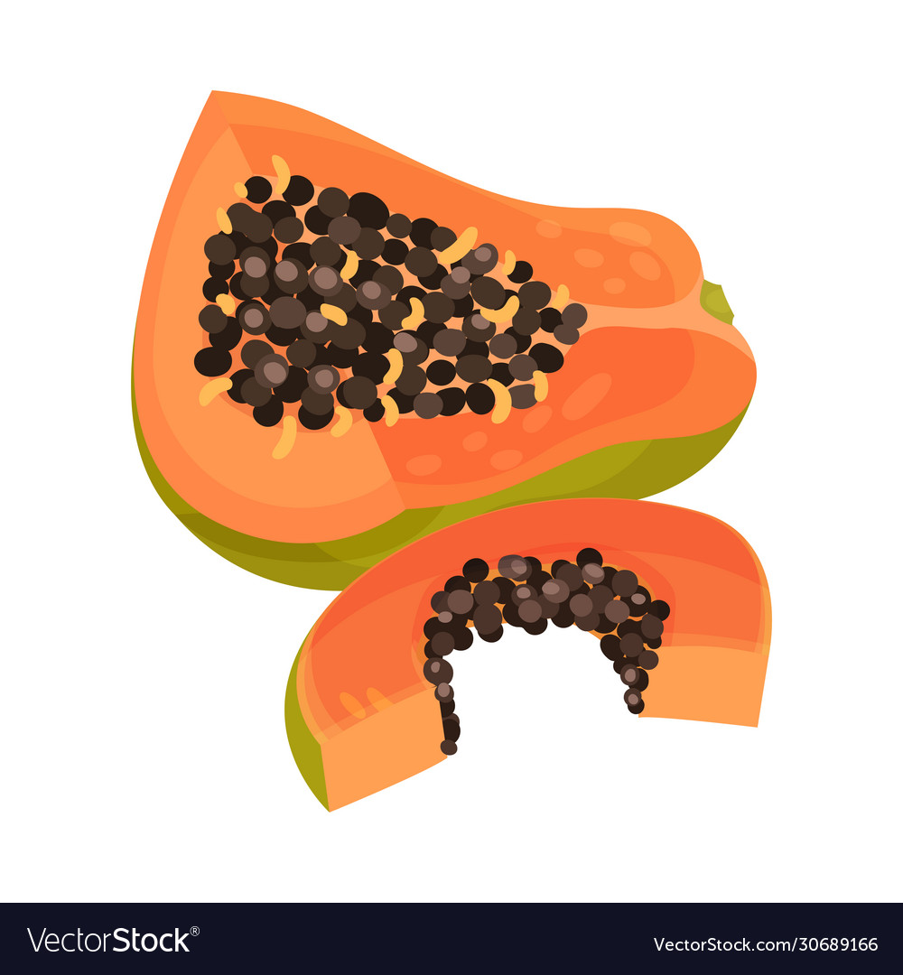 Papaya fruit pieces with orange pulp and black Vector Image