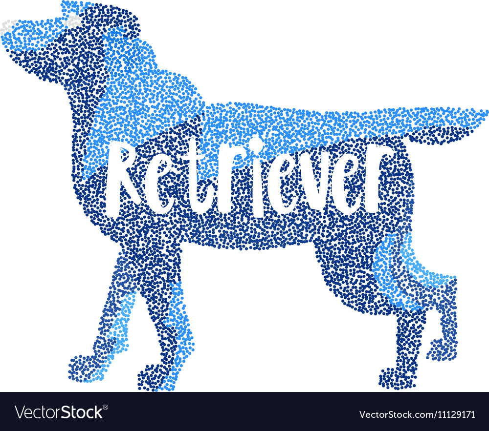 Form round particles labrador retriever dog breed