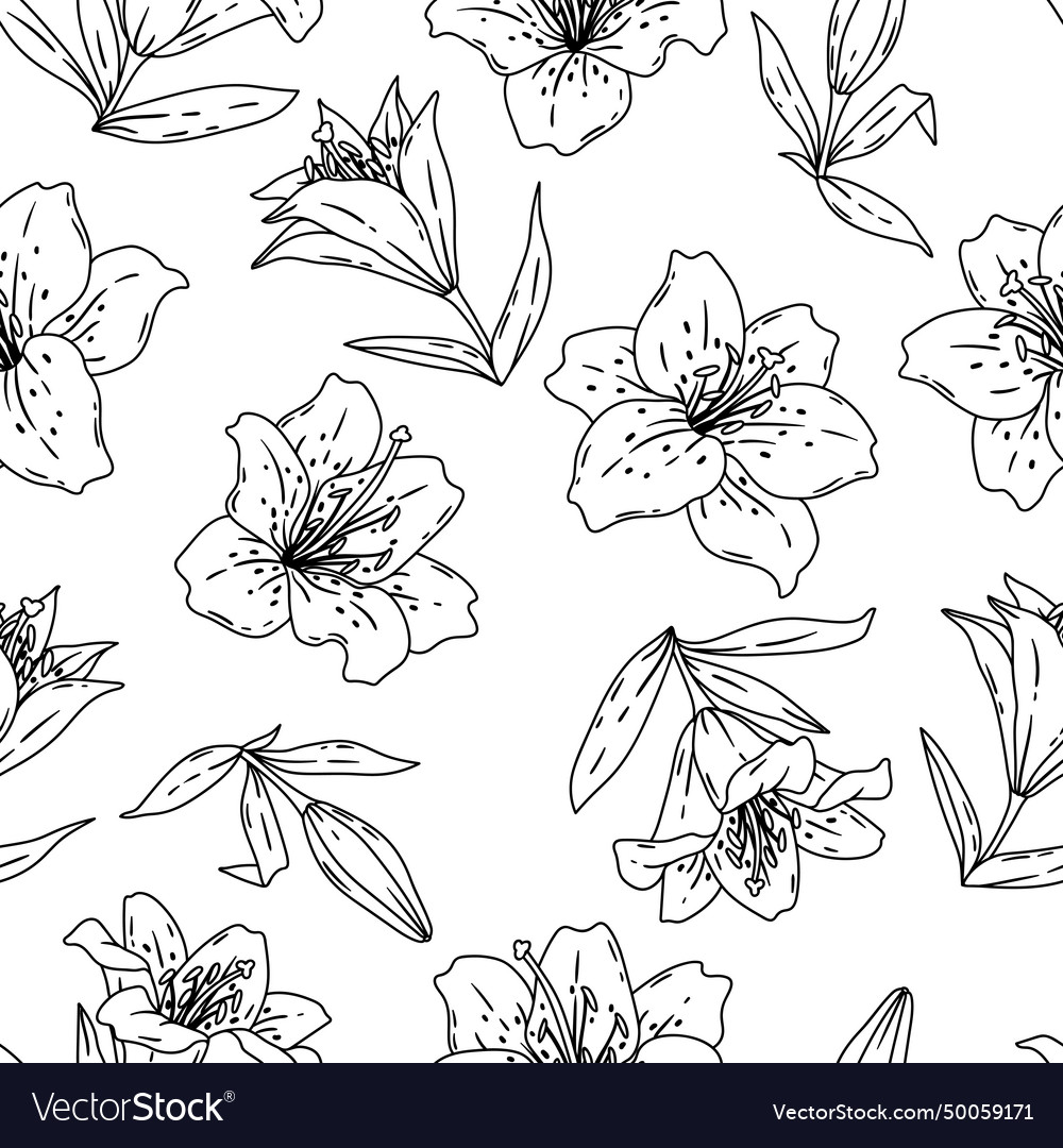 Pattern with lilies flowers beautiful decorative Vector Image Pattern with lilies flowers beautiful decorative