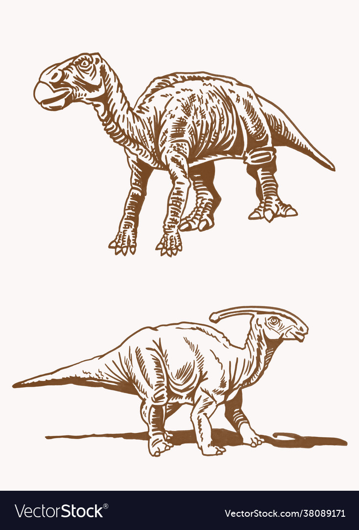 Vintage set dinosaurs paleontological Royalty Free Vector Vintage set dinosaurs paleontological Royalty Free Vector