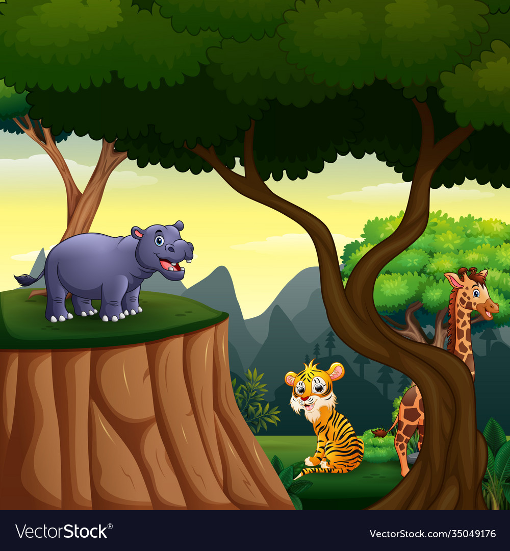 Different animals living at jungle Royalty Free Vector Image Different animals living at jungle Royalty Free Vector Image