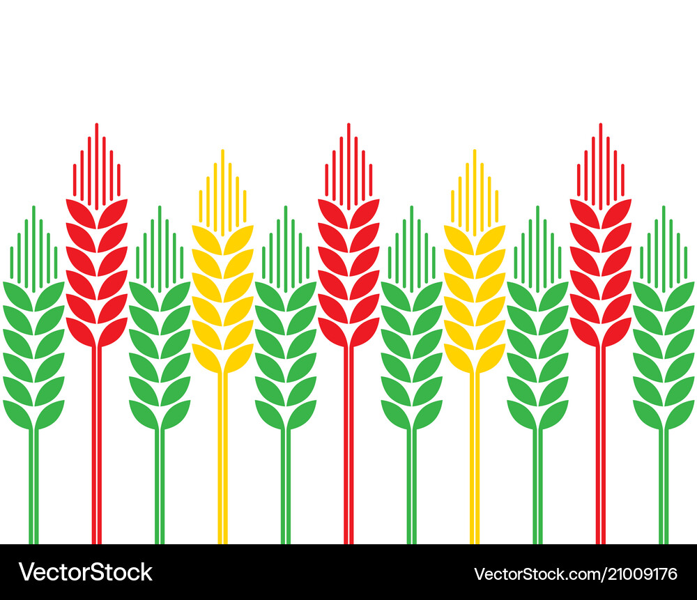 Ears wheat Royalty Free Vector Image - VectorStock