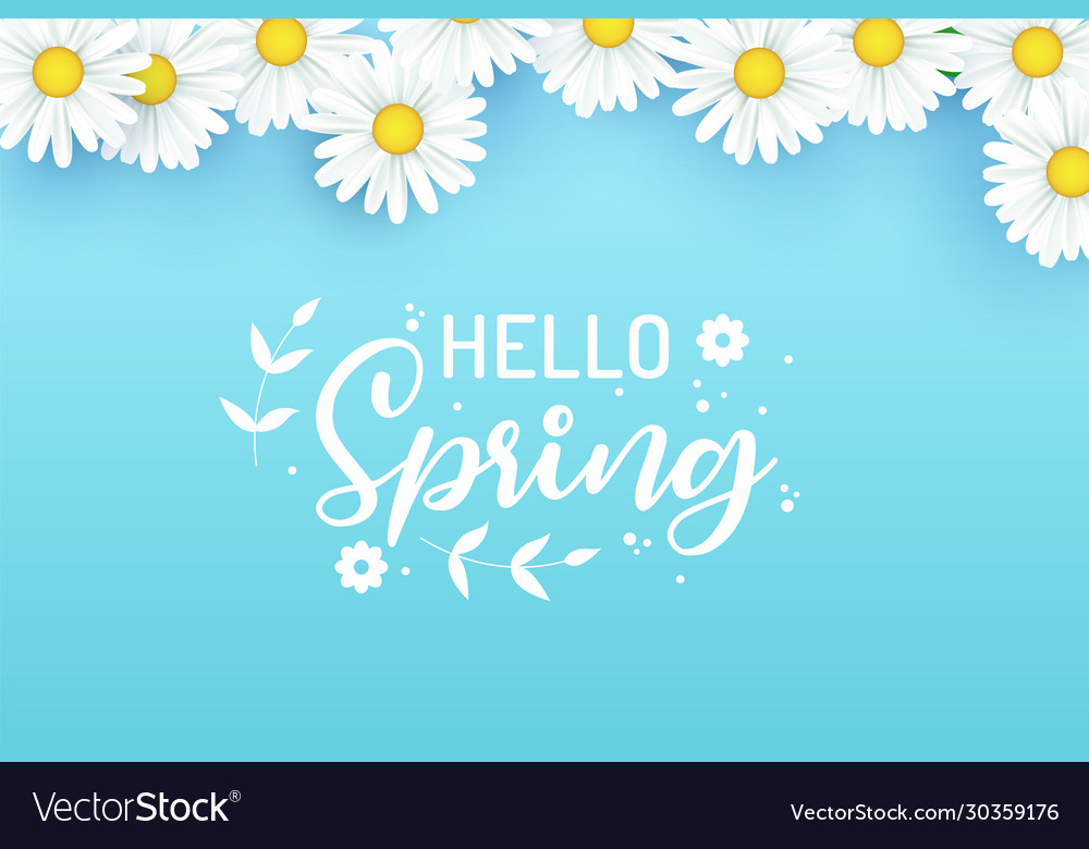 Hello spring design with 3d realistic fresh