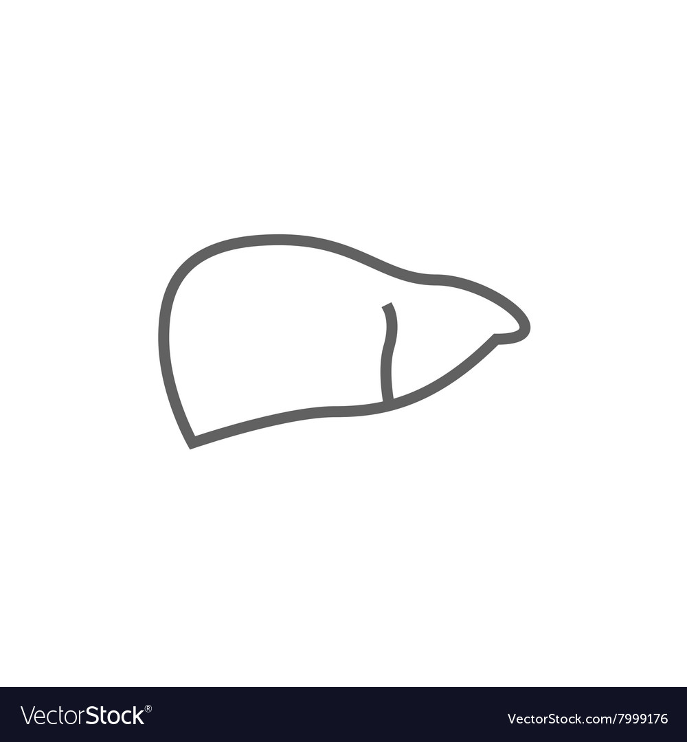 Liver line icon