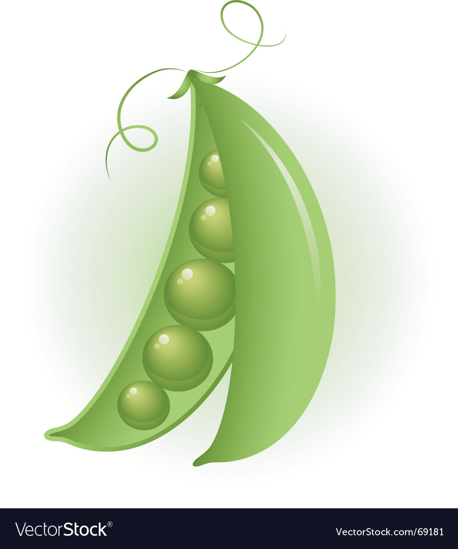 Frische grüne Erbsen in Pod