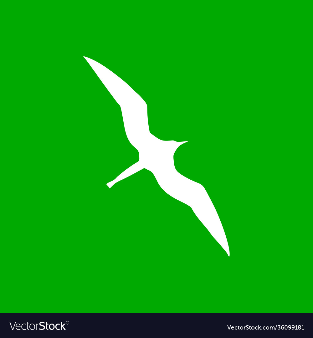 Frigate bird and background