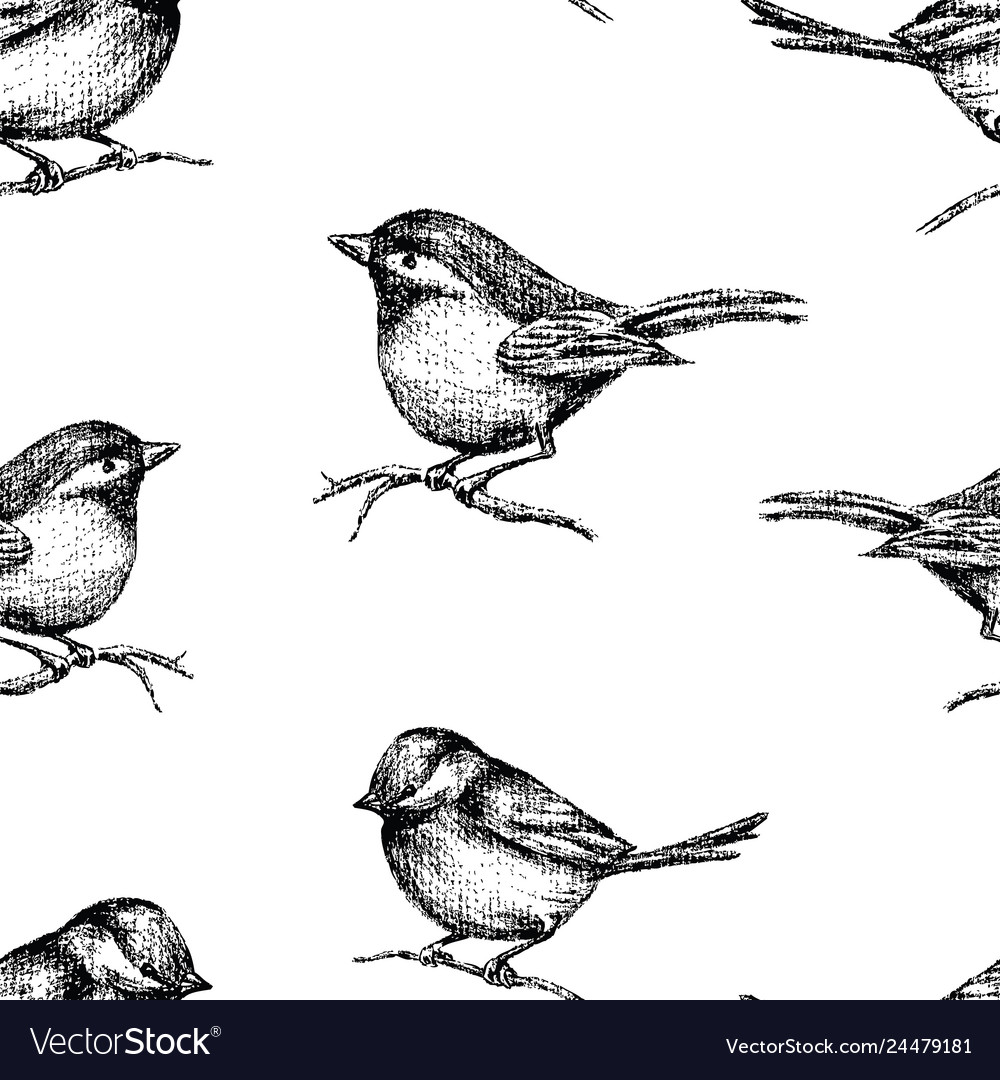 Pattern of drawn small birds Royalty Free Vector Image