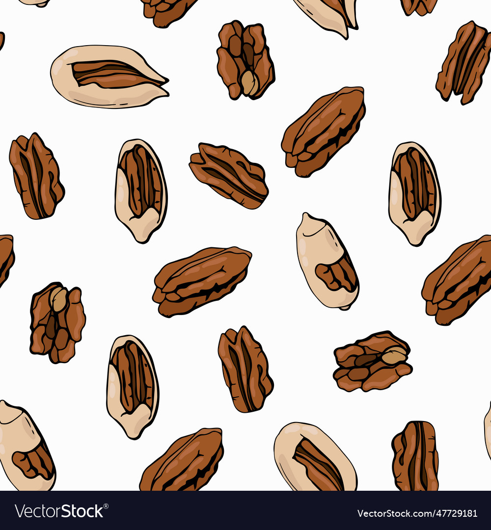Seamless pattern with pecan nuts