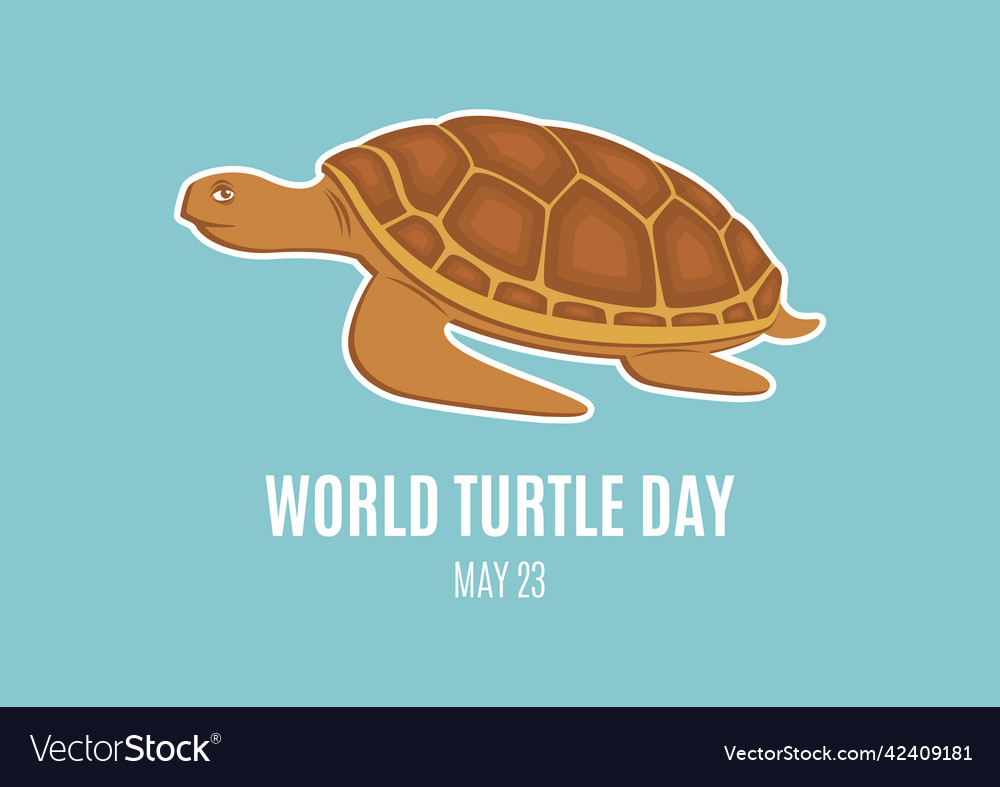 World Turtle Day Royalty Free Vector Image - Vectorstock