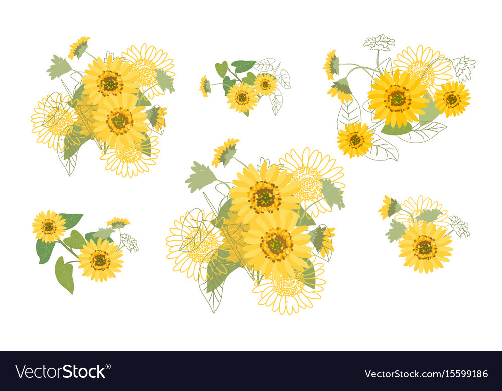 Yellow sunflowers Royalty Free Vector Image - VectorStock