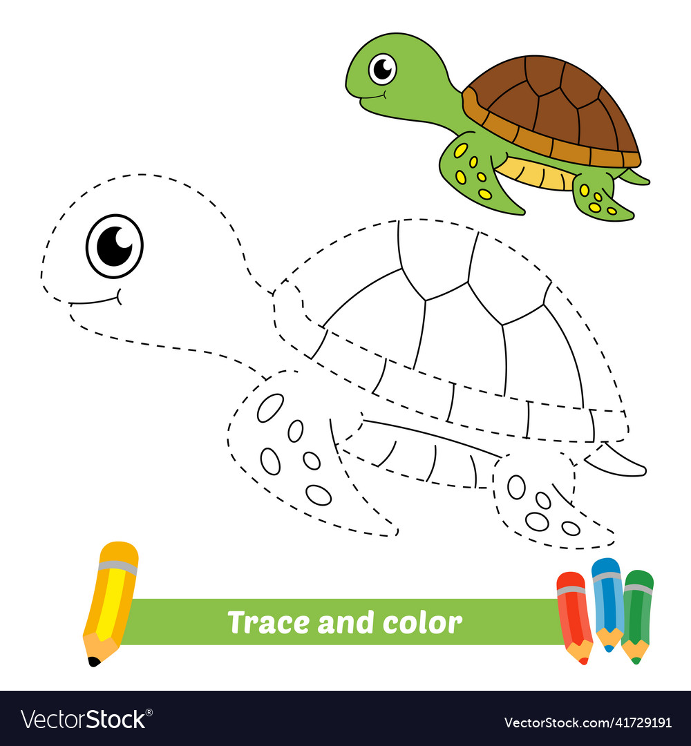 Trace and color for kids turtle royalty free vector image