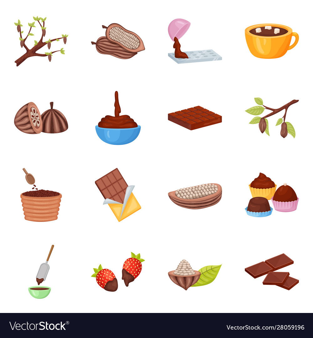 Design cocoa and beans icon collection Vector Image Design cocoa and beans icon collection