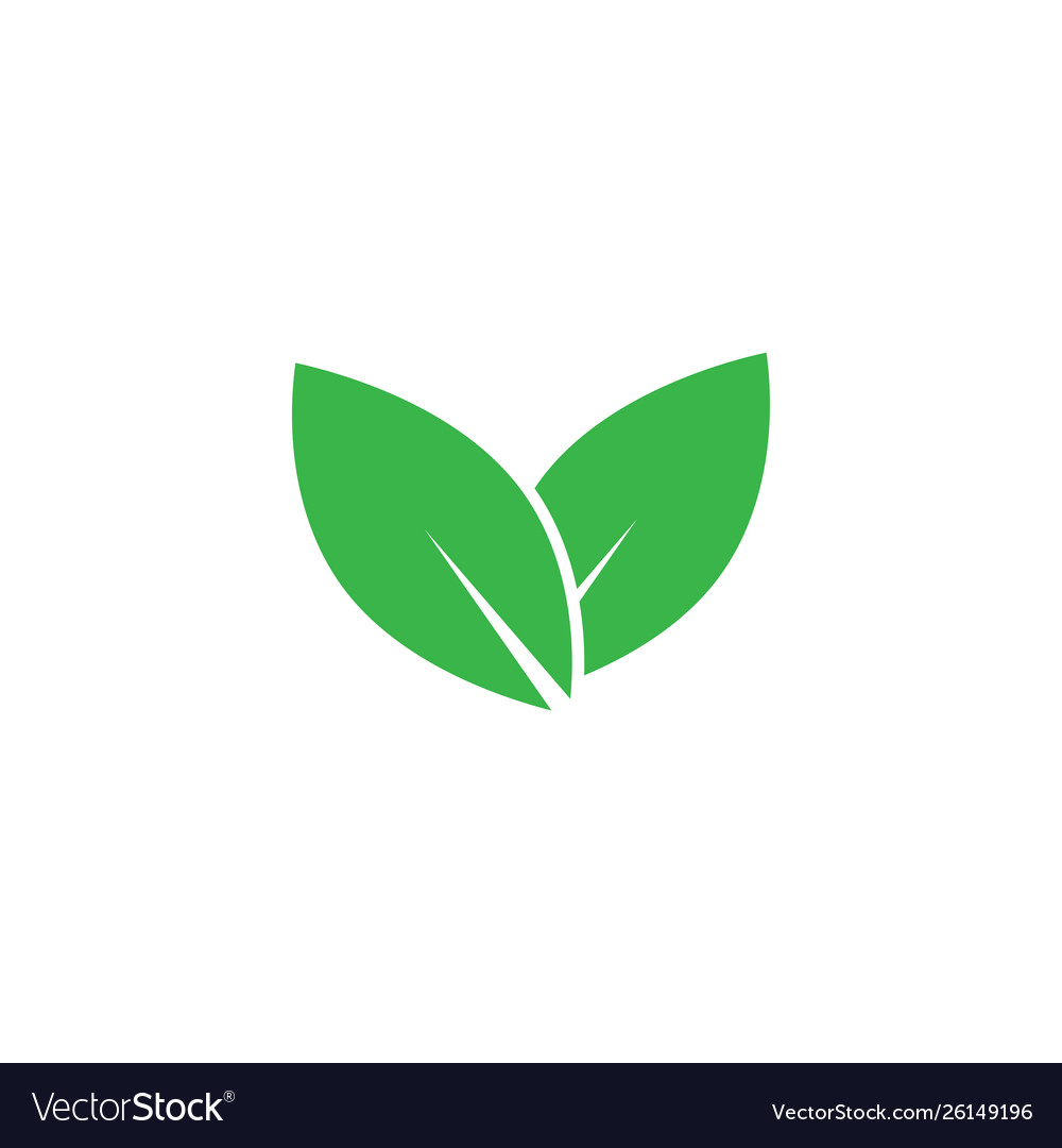 Leaf graphic icon design template