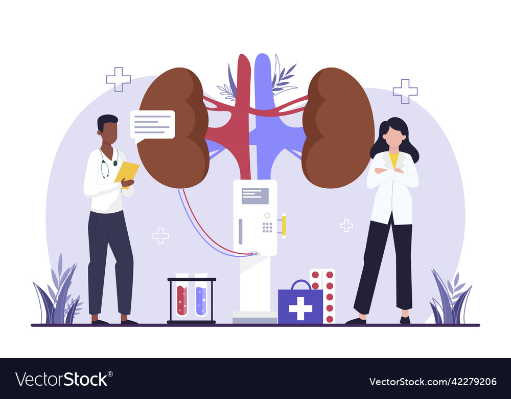 Doctor performs hemodialysis Royalty Free Vector Image