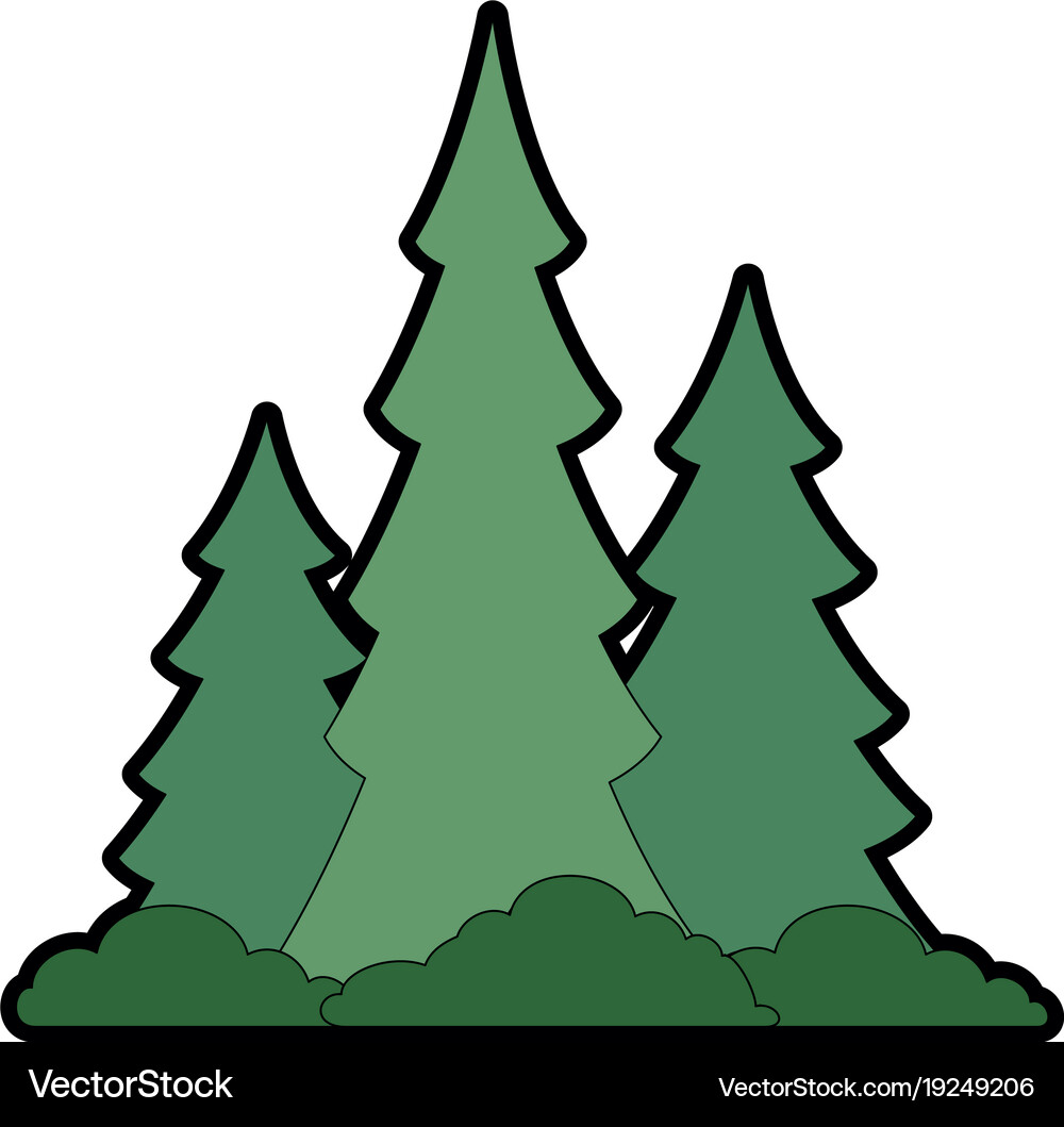 Pine forest scene icon Royalty Free Vector Image