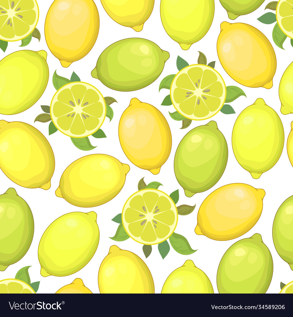 Seamless pattern with colorful lemon and limes Vector Image Seamless pattern with colorful lemon and limes
