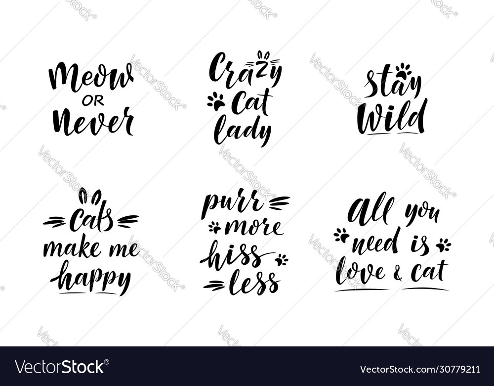 Cute slogans about cats handwritten textured sign Vector Image