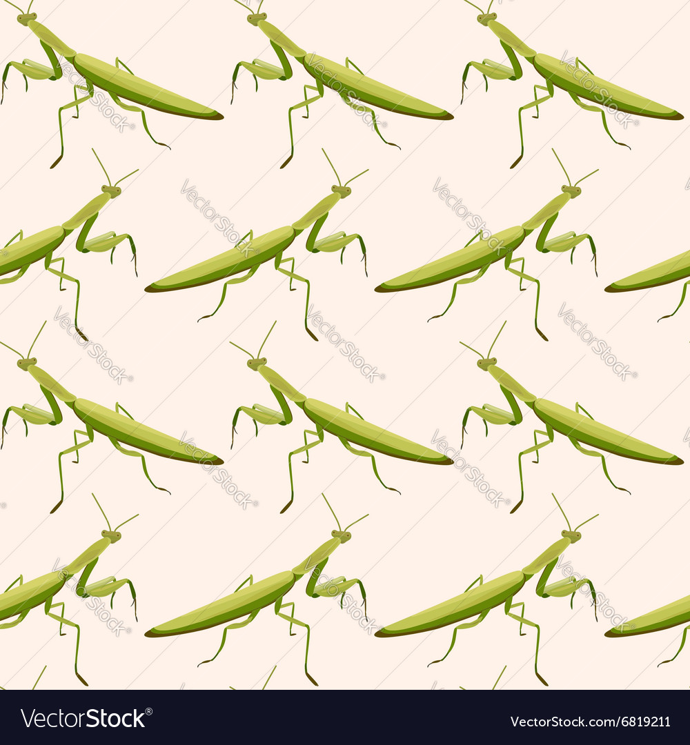 Seamless pattern made of mantises