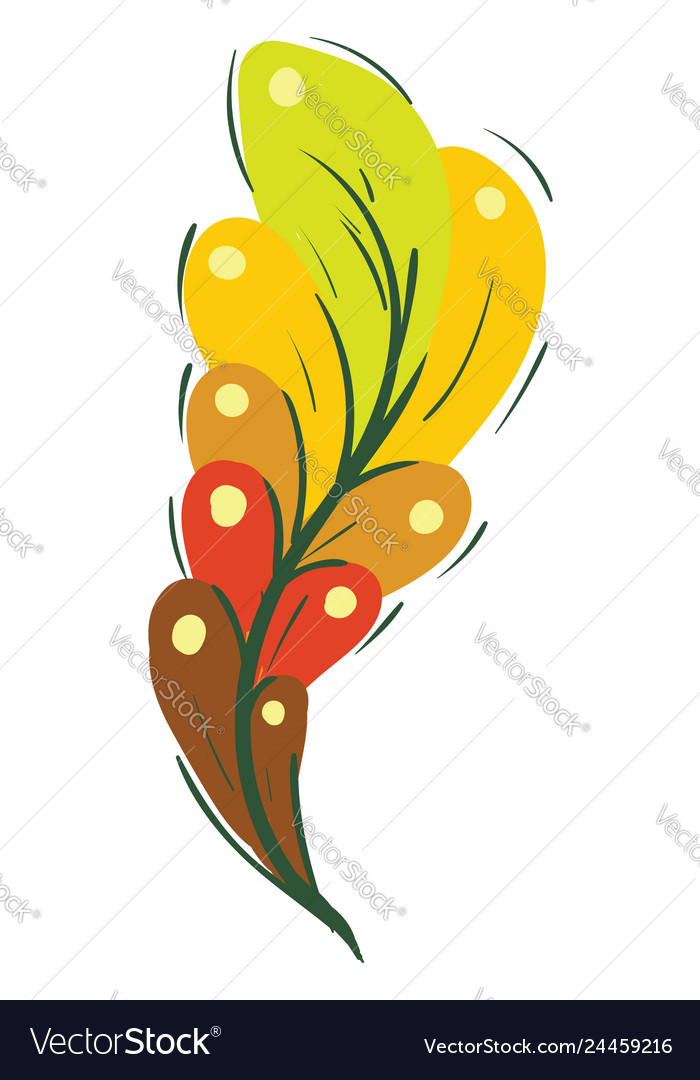 A beautiful bright colorful feather or color Vector Image