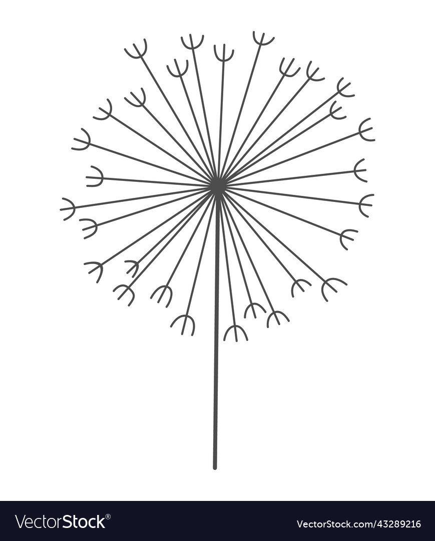 Dandelion flower in black linear style nature