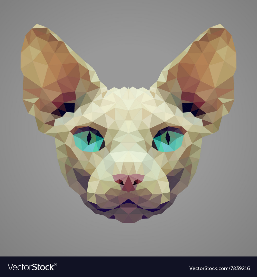 Sphynx cat low poly portrait